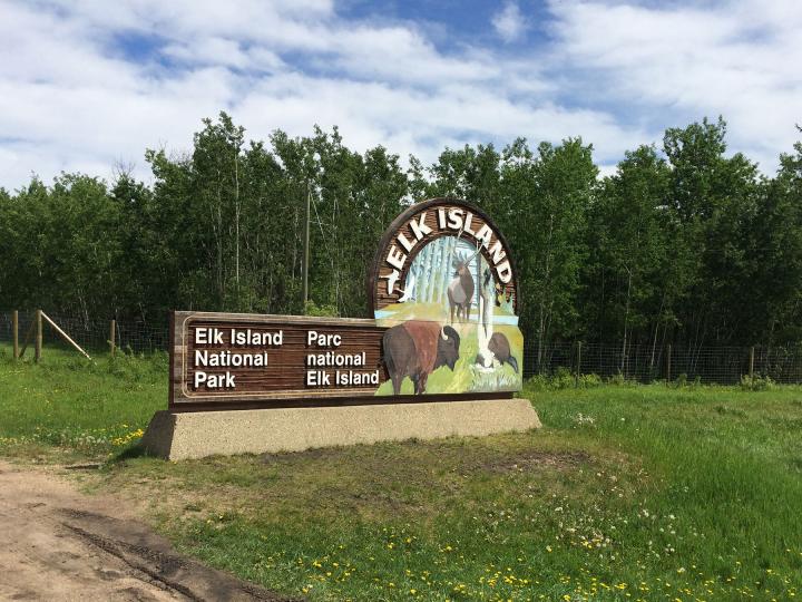 Astotin Lake Campground 