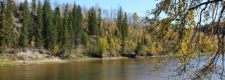 Pembina River Campground 