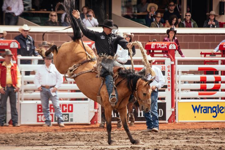 Calgary Stampede 