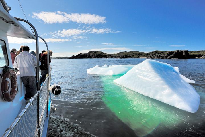 Eisberge und Wale 01.05.2024 - 30.09.2024 | Erwachsener