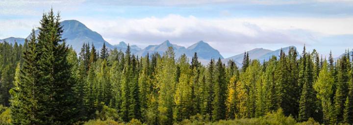 Watson Creek Campground 