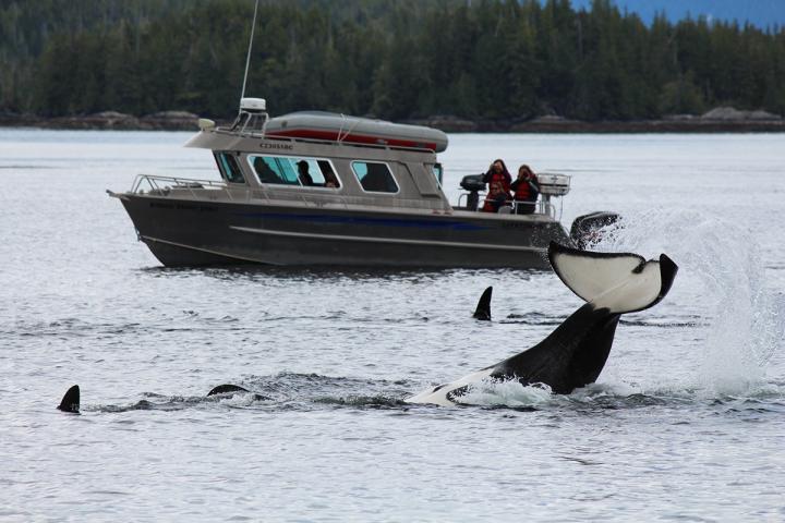 Trip an die wilde Westküste 