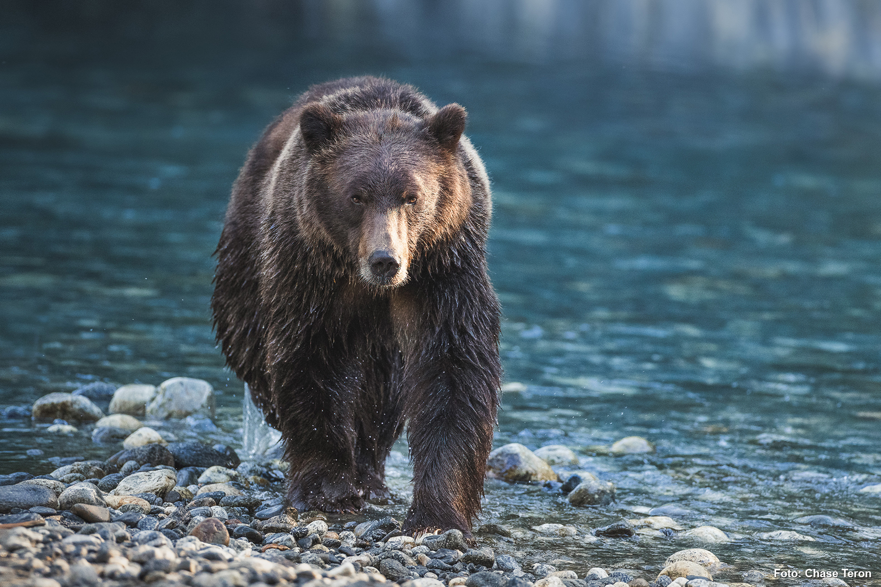 Klahoose Wilderness Resort 