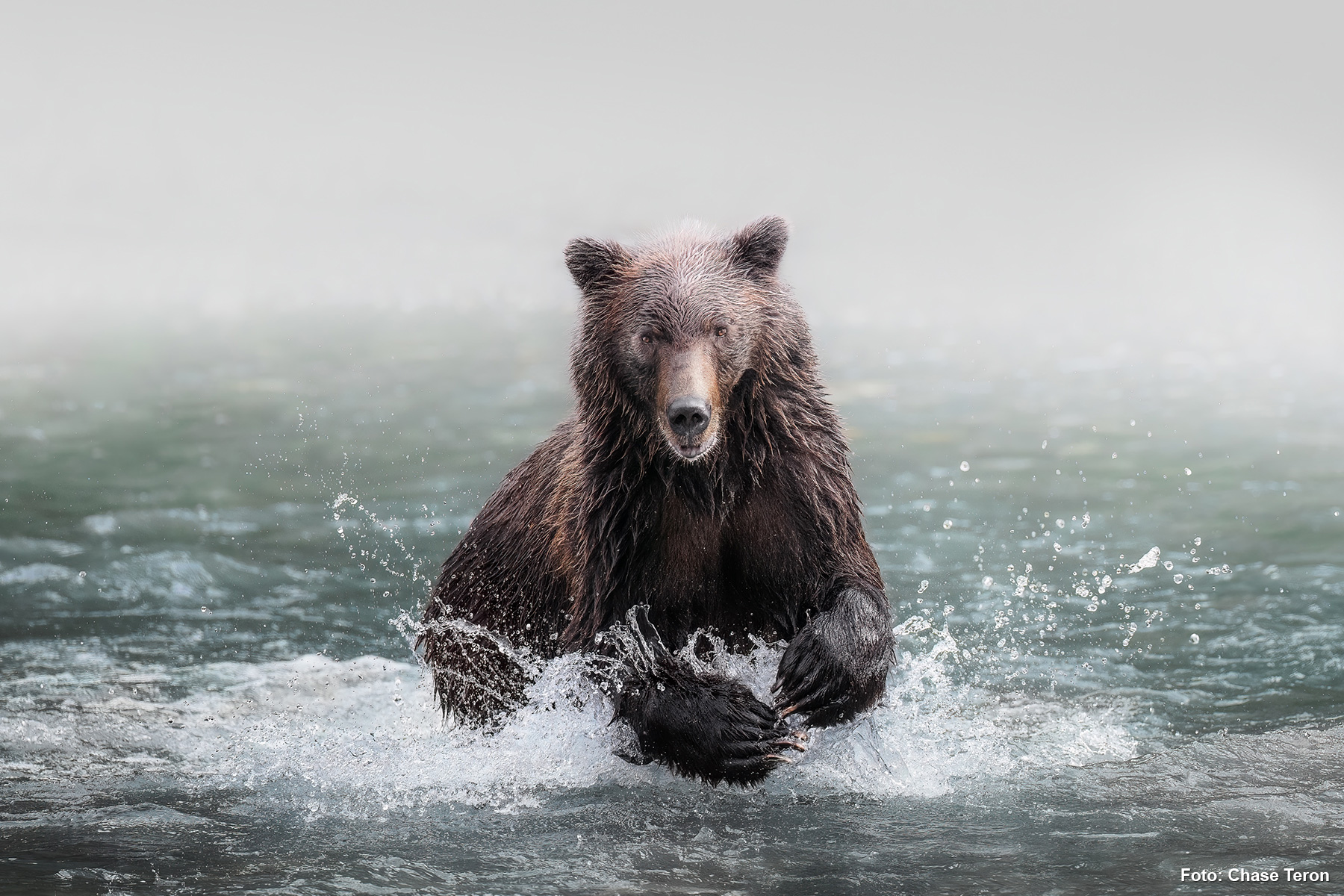 Klahoose Wilderness Resort 