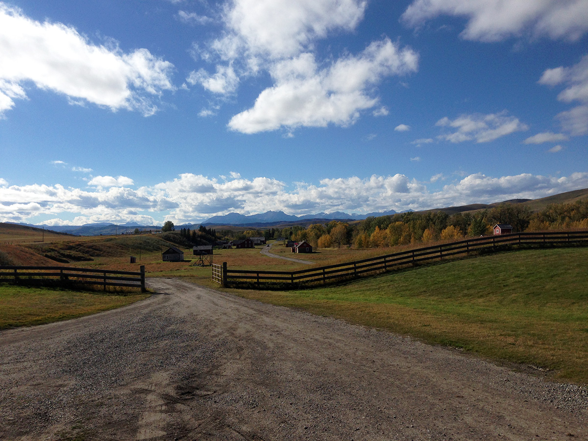 Erlebnistour in der Prärie 